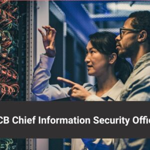 Chief Information Security Officer